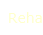 Rehabilitation